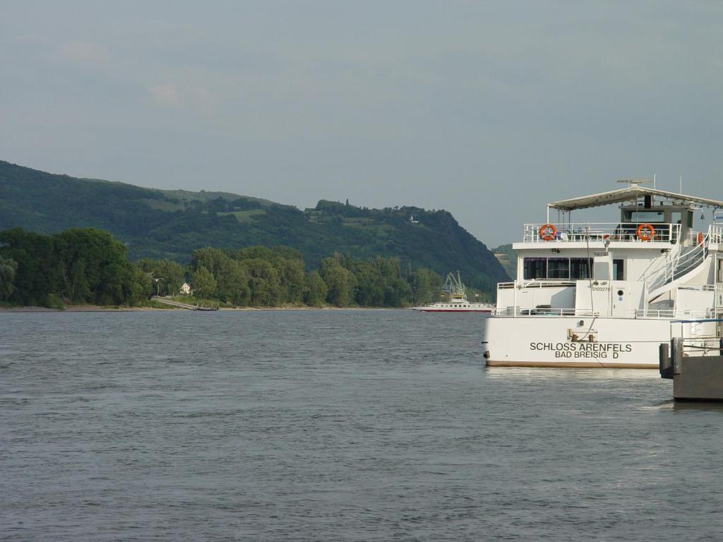 Hotel Vater Rhein バート・ブライジク エクステリア 写真